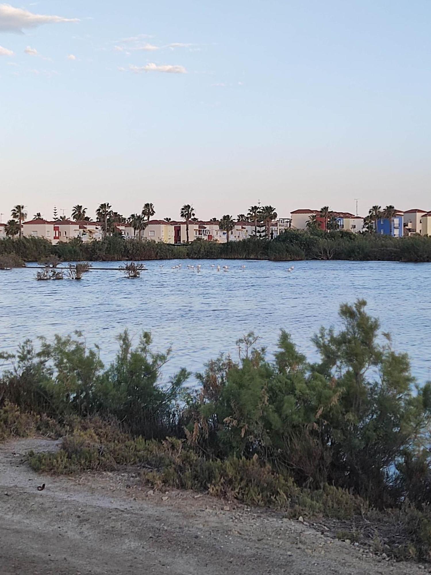 El Mirador De Torremari - Nudista - Vera Playa 外观 照片